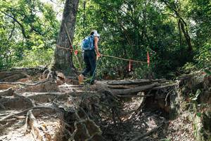 BIB: 
                            <button type="button" onclick="openModal(27800636)" class="btn btn-primary btn-sm float-right btn-popup" data-toggle="modal" data-target=".modal-high-quality">
                        <i class="fas fa-shopping-cart"></i> Add to Cart
                    </button>
                                            <button type="button" onclick="isThisMe(27800636, true)" class="btn btn-success btn-sm float-right btn-popup btn-isme hidden" data-toggle="tooltip" data-placement="bottom" title="นี่คือรูปของคุณใช่ไหม คลิกที่นี่เพื่อเอาเข้าอัลบั้ม">
                        <i class="fas fa-plus"></i> Add to album
                    </button>
                    <button type="button" onclick="isThisMe(27800636, false)" class="btn btn-warning btn-sm float-right btn-popup btn-isnotme hidden">
                        <i class="fas fa-ban"></i> Remove from album
                    </button>